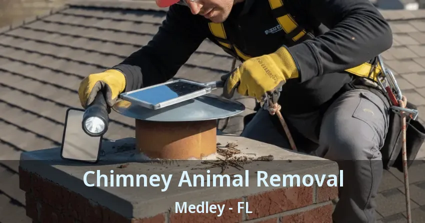 Chimney Animal Removal Medley - FL Chimney Animal Removal Medley - FL