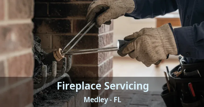 Fireplace Servicing Medley - FL