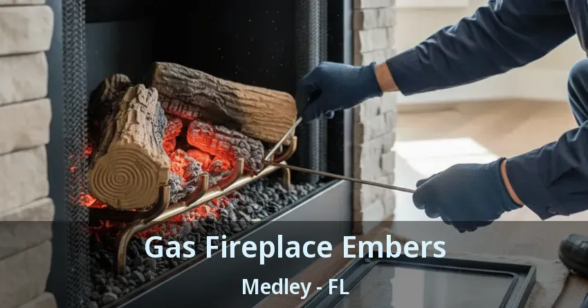 Gas Fireplace Embers Medley - FL