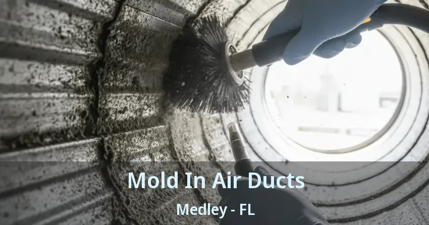 Mold In Air Ducts Medley - FL