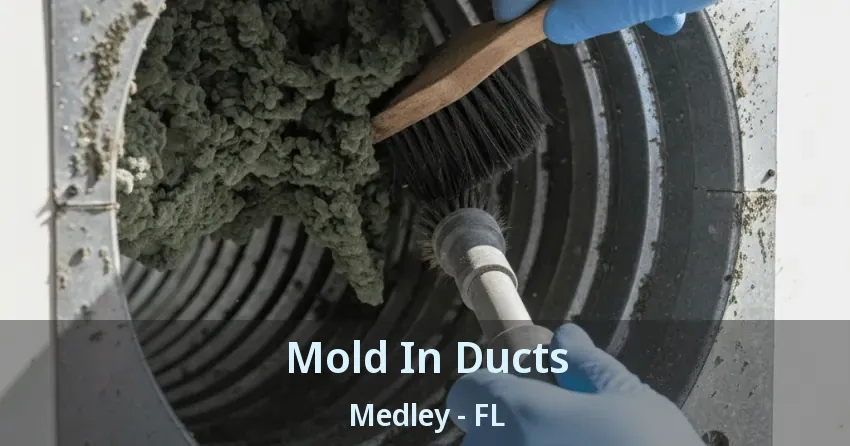 Mold In Ducts Medley - FL